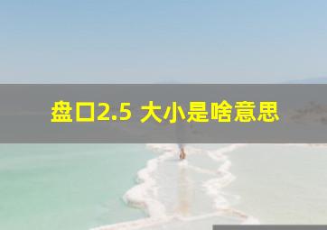 盘口2.5 大小是啥意思